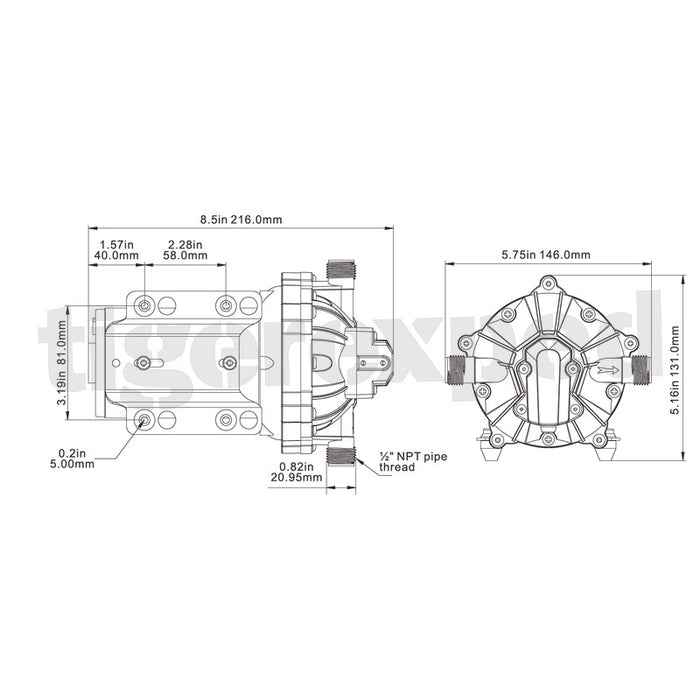 Frischwasserpumpe 51 Serie 12v, 18.9lpm-5.0gpm, 60psi-4.1bar